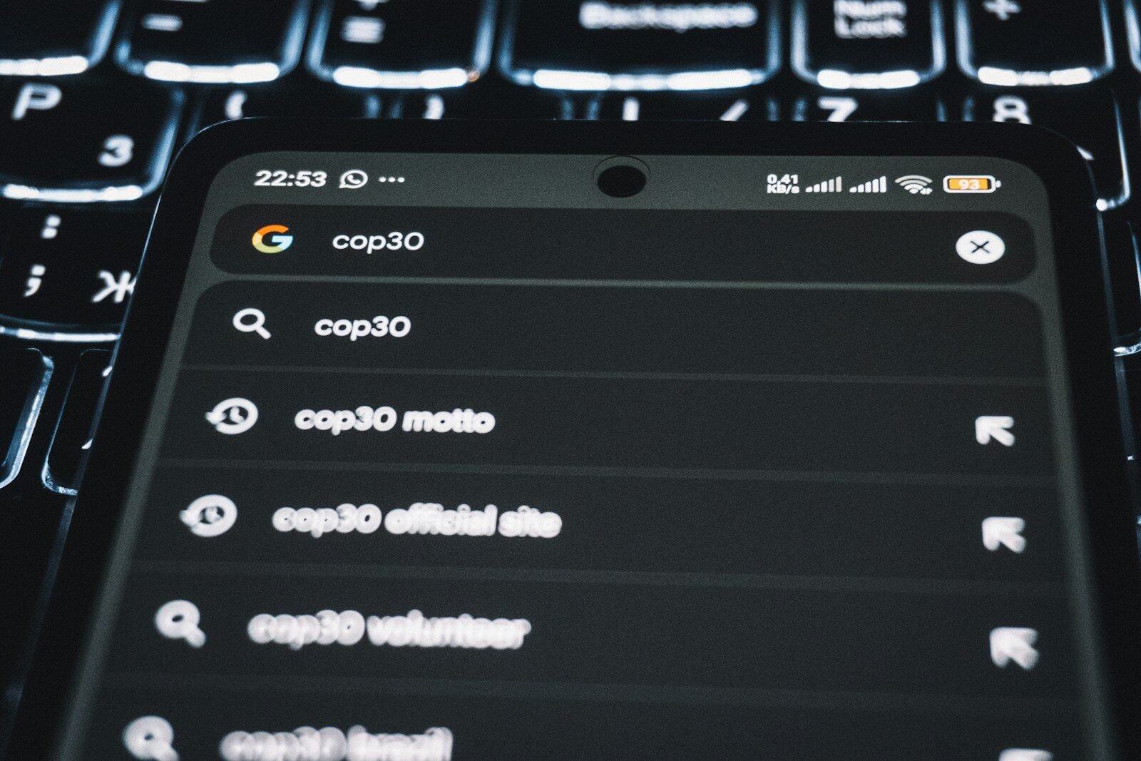 Smartphone displaying search results for cop30